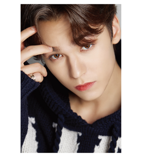 DICON D'FESTA SEVENTEEN - VERNON